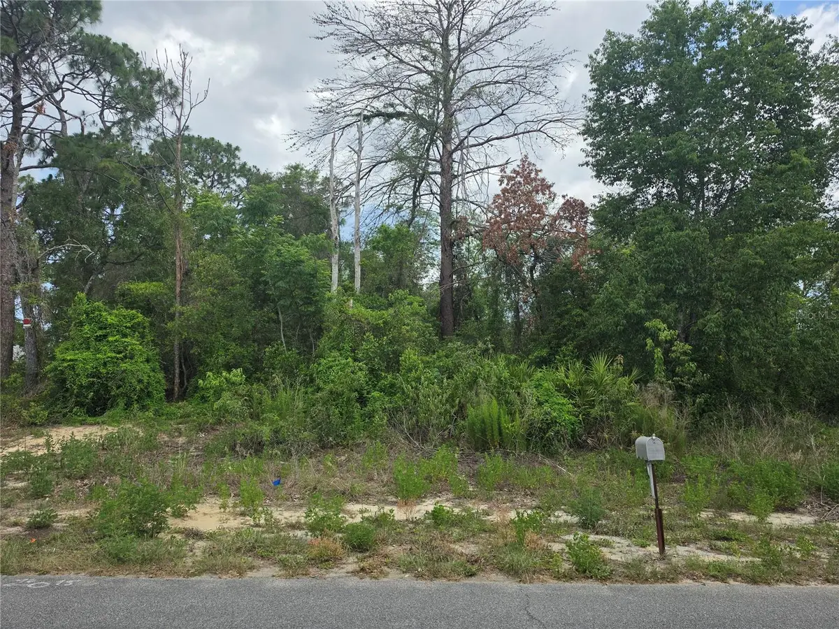 3475 El Prado Avenue, Spring Hill, FL 34609 - #1