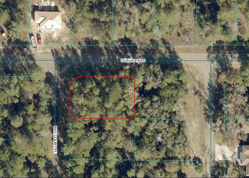00 Guava Pass, Ocklawaha, FL 32179 - #1