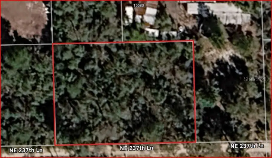 Lot 5 & 6 NE 237th Lane, Fort McCoy, FL 32134 - #1