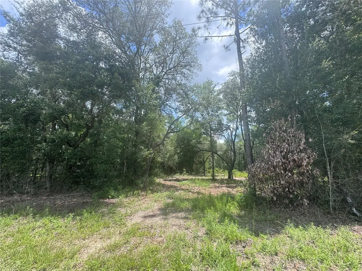751 NE 139th Avenue, Williston, FL 32696 - #1