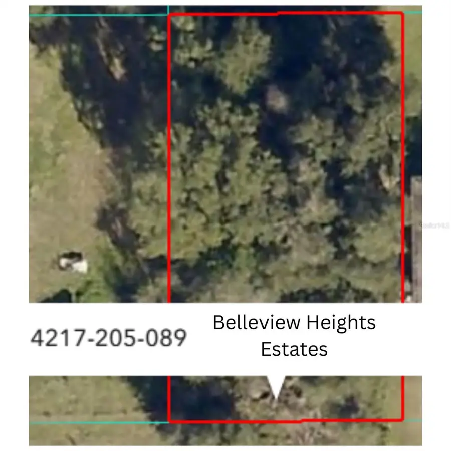 SE 141st Place, Summerfield, FL 34491 - #2
