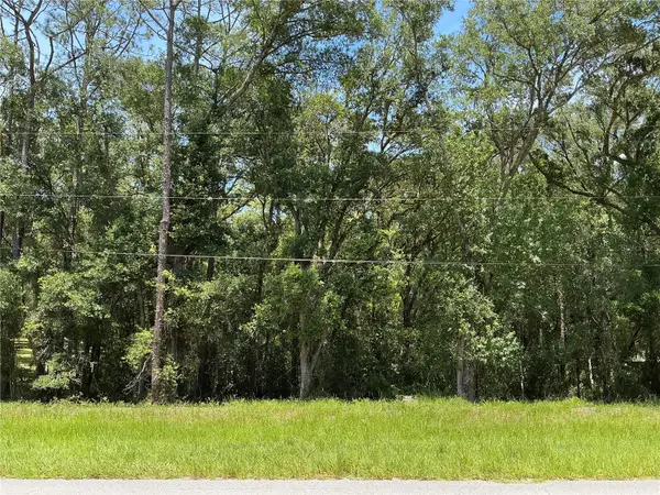 SW 102nd St Road, DUNNELLON, FL 34431