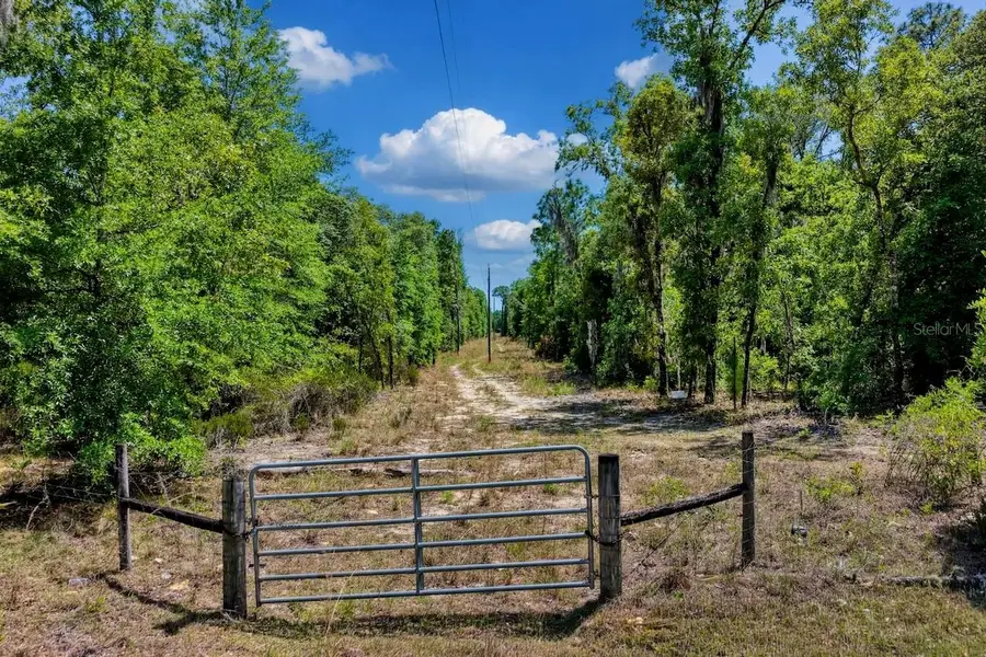 TBD NE 75th Street, Williston, FL 32696 - #2