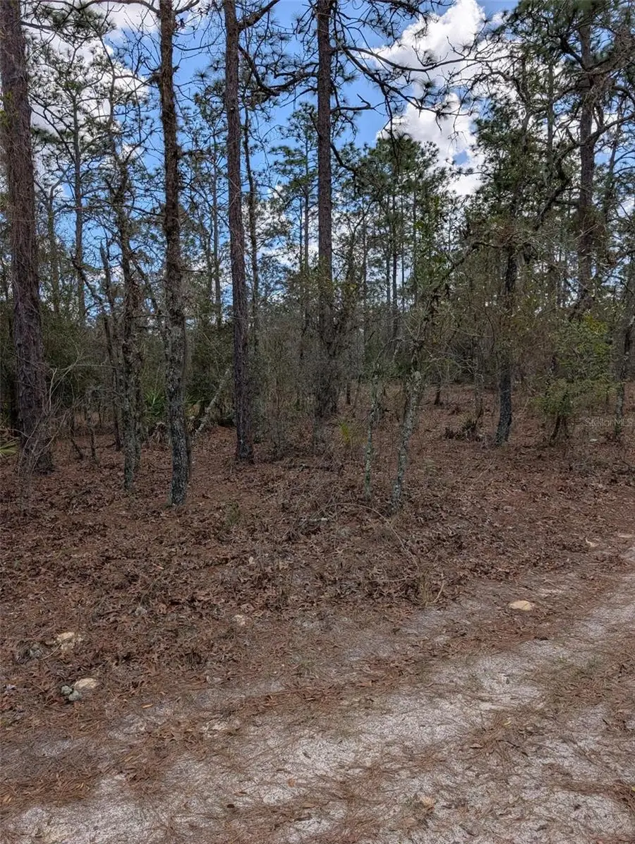 0 SW 90th Street, Dunnellon, FL 34432 - #2