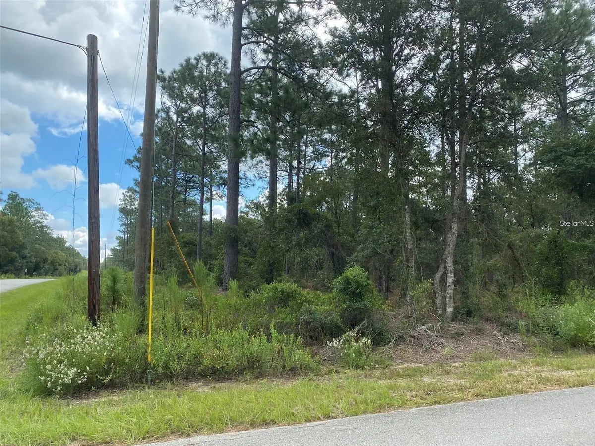 00 SW Buena Vista Road, Dunnellon, FL 34431 - #1
