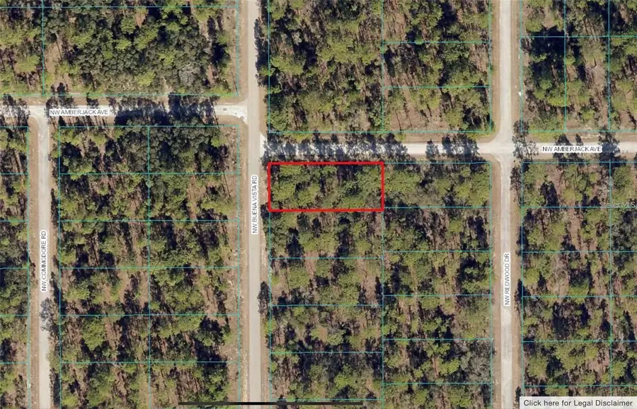 00 SW Buena Vista Road, Dunnellon, FL 34431 - #2