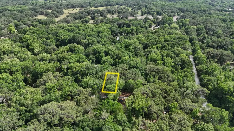 2381 N Junglecamp Road, Inverness, FL 34453 - #3