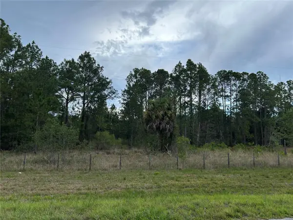 0000 SE 60th Avenue, MORRISTON, FL 32668