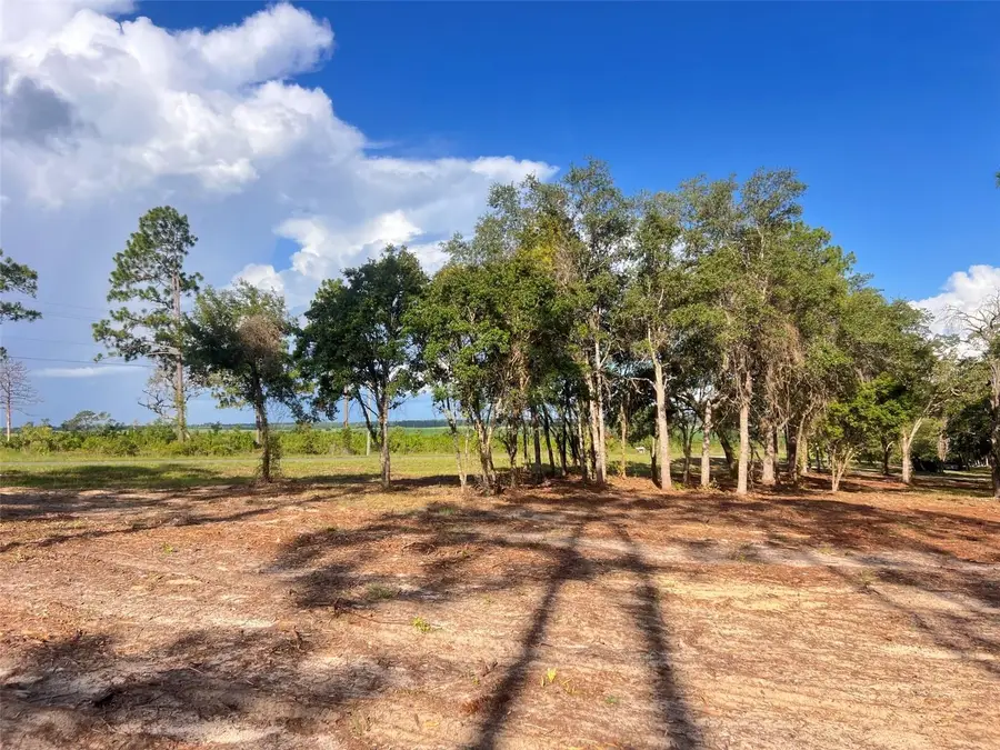 Levy Street, Williston, FL 32696 - #2