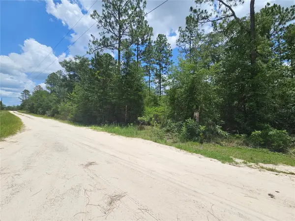 0000 NE 40th Lane, WILLISTON, FL 32696