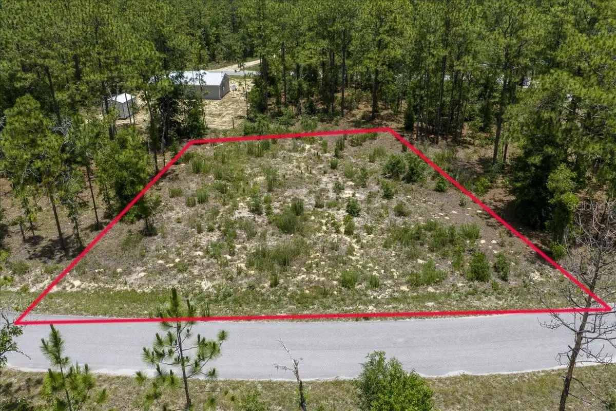 NE 4th Lane, Williston, FL 32696 - #1