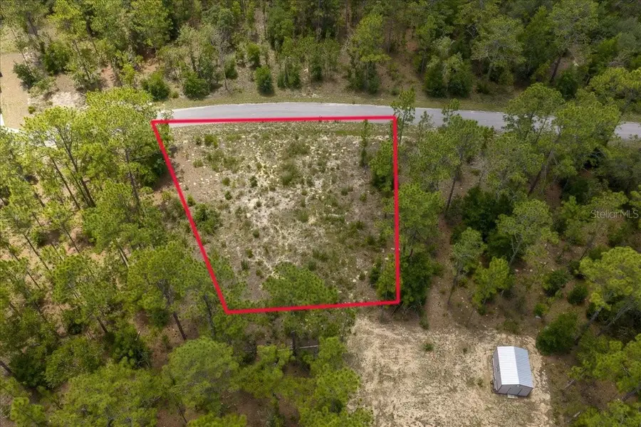 NE 4th Lane, Williston, FL 32696 - #2