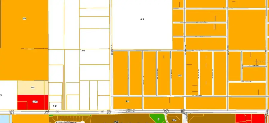 TBD SE 80th Avenue, Summerfield, FL 34491 - #3