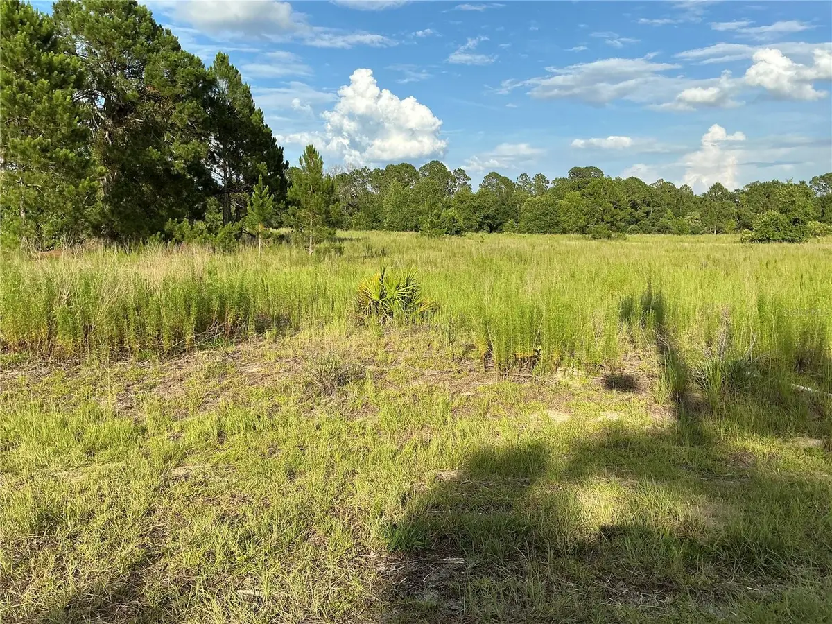 Maple Ln Way, Ocklawaha, FL 32179 - #1