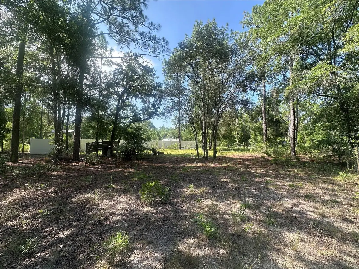 TBD NE 3rd Place, Williston, FL 32696 - #1