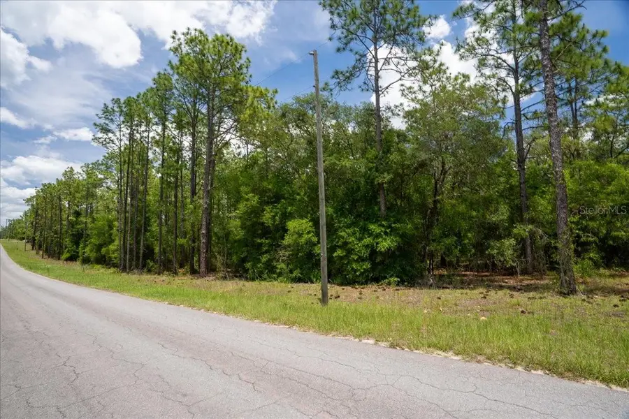 150th Avenue, Williston, FL 32696 - #2