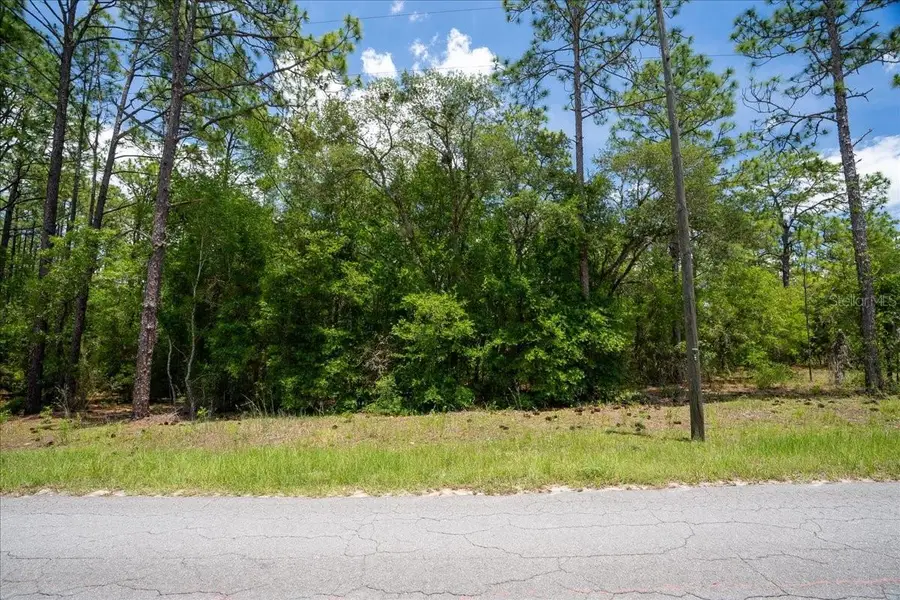 150th Avenue, Williston, FL 32696 - #3