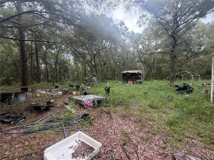 9889 SW 153rd Lane, Dunnellon, FL 34432 - #3
