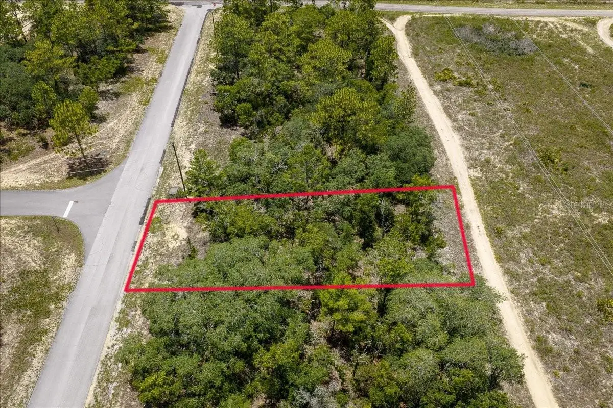 6830 N Sandborn Loop, Citrus Springs, FL 34433 - #1