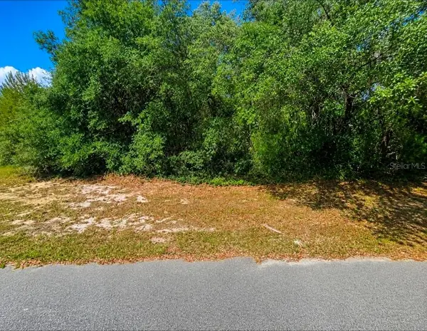 SW 164th Place Road, OCALA, FL 34473
