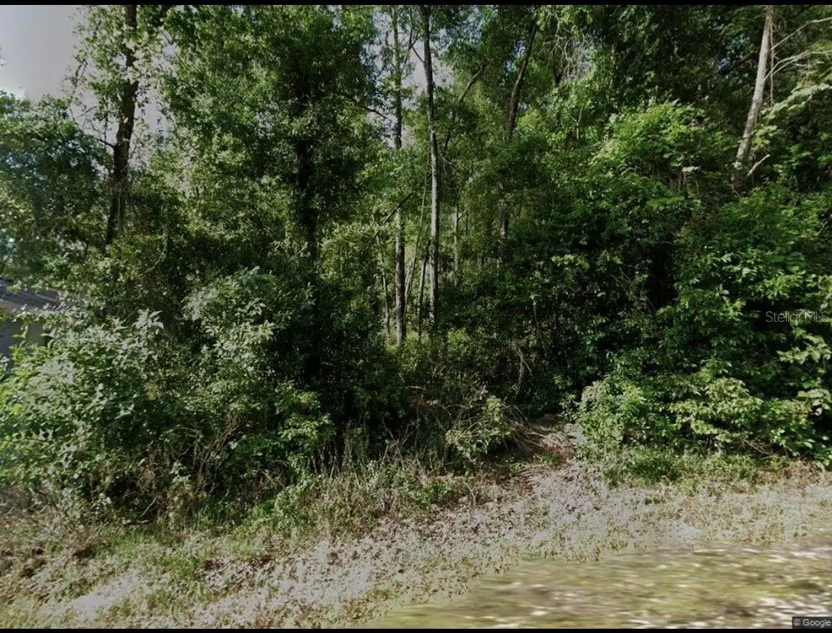 6370 E Oneida Street, Inverness, FL 34452 - #1