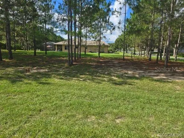 2590 N Brentwood Circle, LECANTO, FL 34461