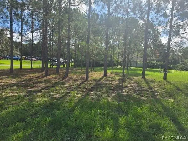 2590 N Brentwood Circle, Lecanto, FL 34461 - #3