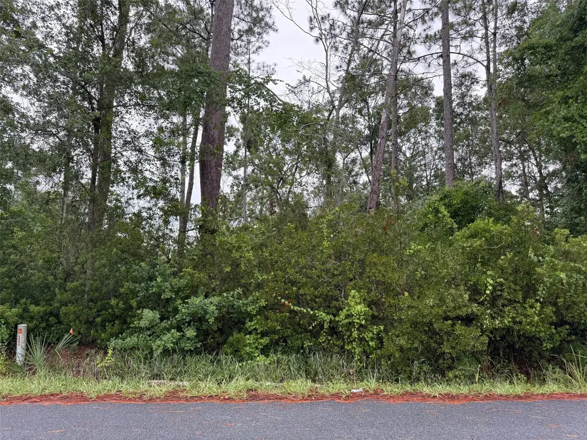 TBD Redwood Track Course, Ocala, FL 34472 - #1