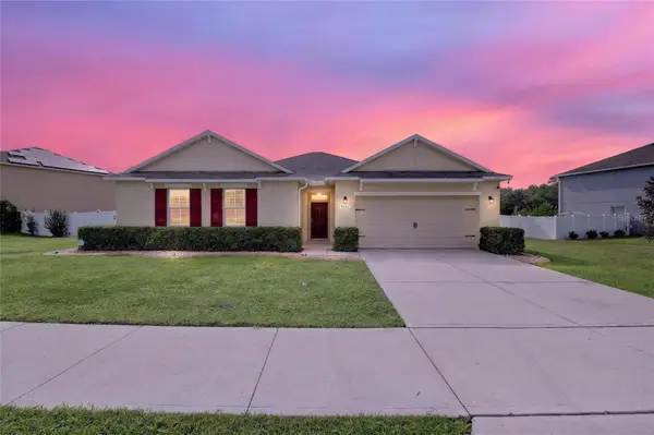 4222 NE 29th Place, OCALA, FL 34470