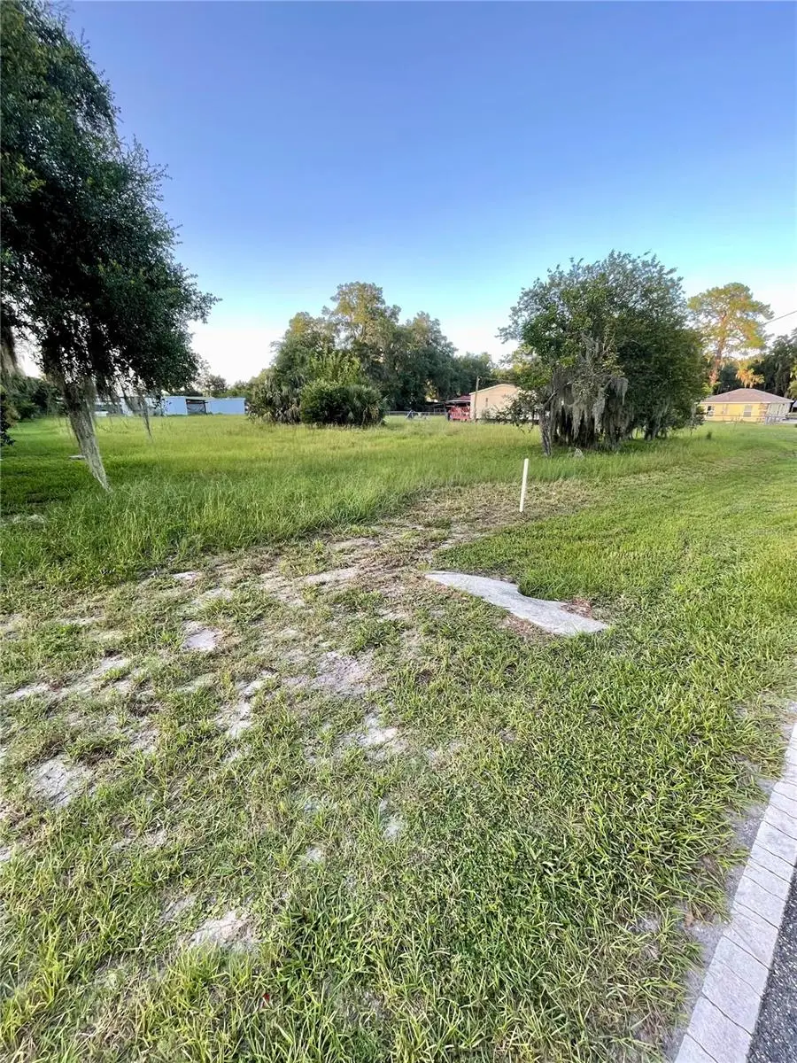 Central Avenue, Coleman, FL 33521 - #3