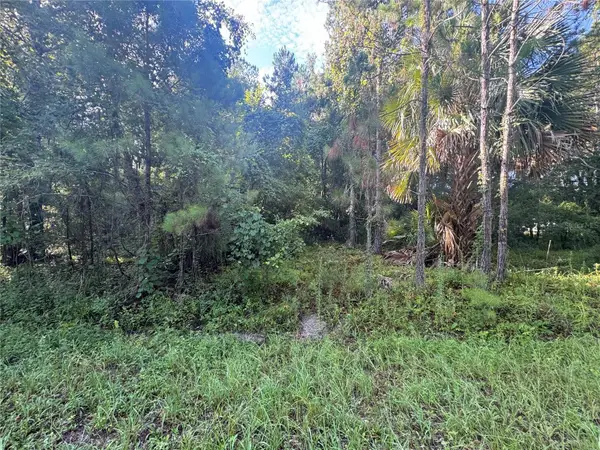 TBD Sequoia Loop Drive, OCKLAWAHA, FL 32179