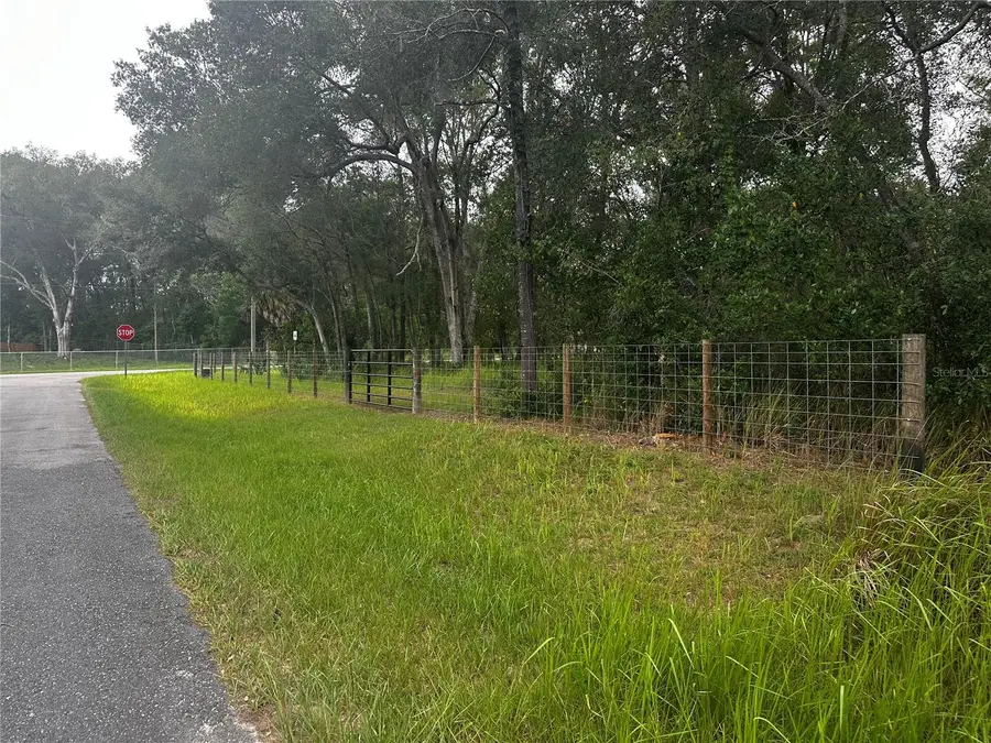 719 S Arlene Avenue, Inverness, FL 34453 - #2