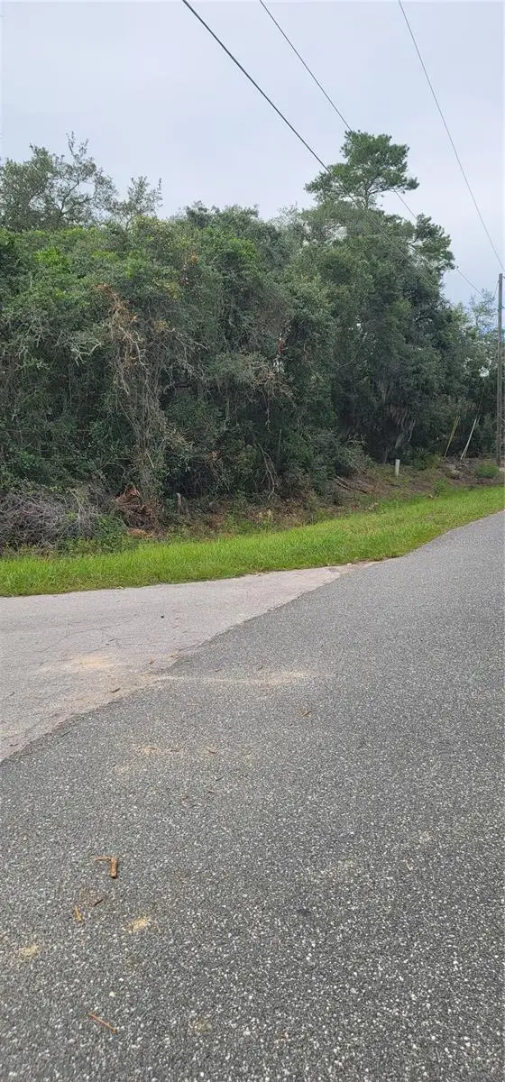 Lot 15 Olive Way, Ocala, FL 34472 - #1