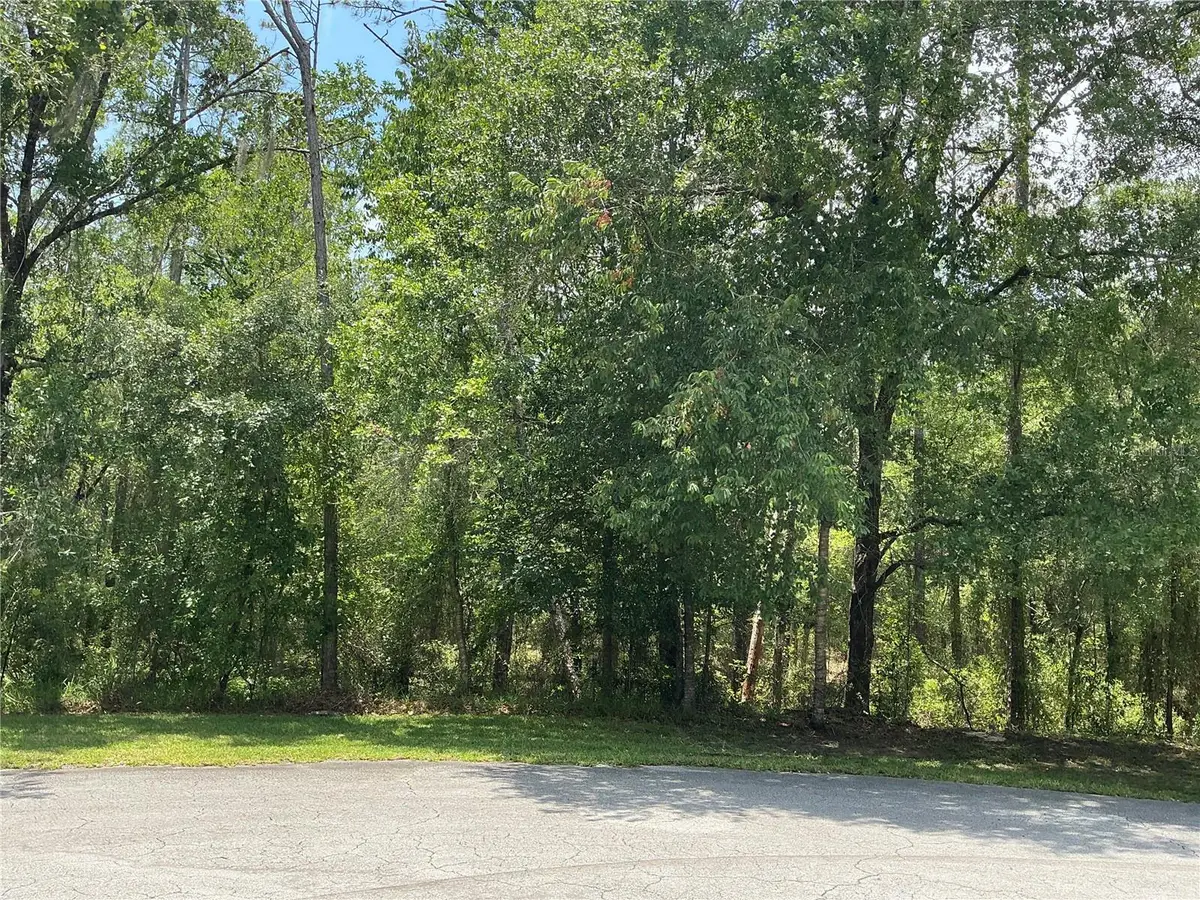 SW 90th Place, Dunnellon, FL 34431 - #1
