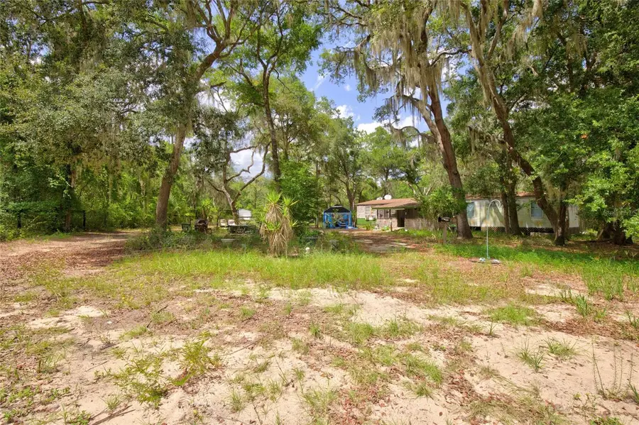9955 SE 160th Avenue, Ocklawaha, FL 32179 - #3