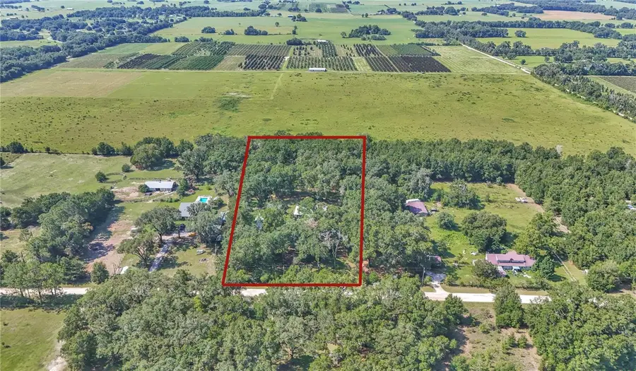 17690 SE 66 Place, Morriston, FL 32668 - #3