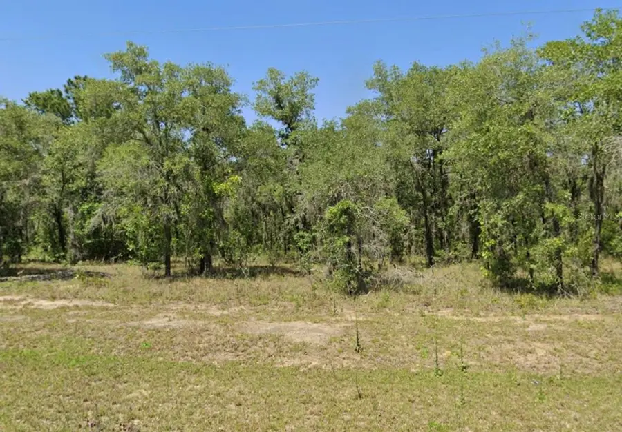 Lot 17 SE 16 Lane, Morriston, FL 32668 - #2