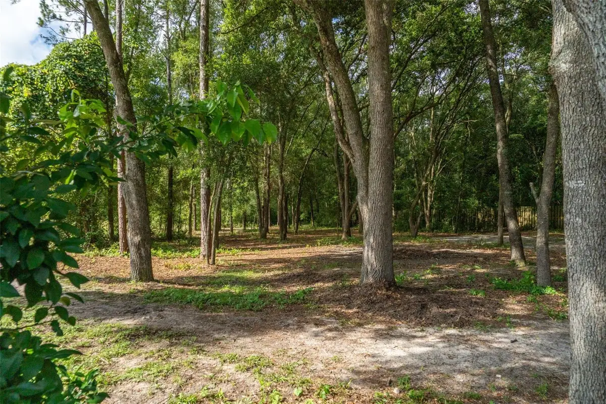 40 Deer Trail Circle, Bronson, FL 32621 - #1