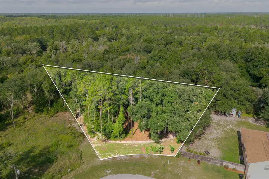 40 Deer Trail Circle, Bronson, FL 32621 - #2