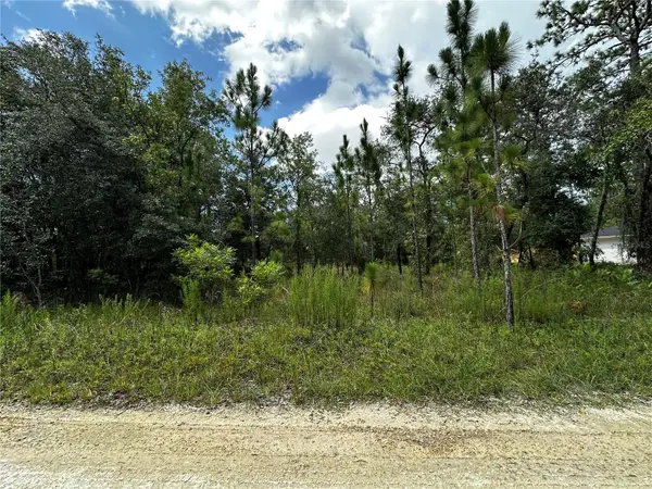 TBD NE 15th Lane, WILLISTON, FL 32696