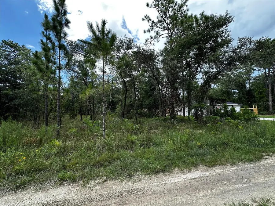 TBD NE 15th Lane, Williston, FL 32696 - #3