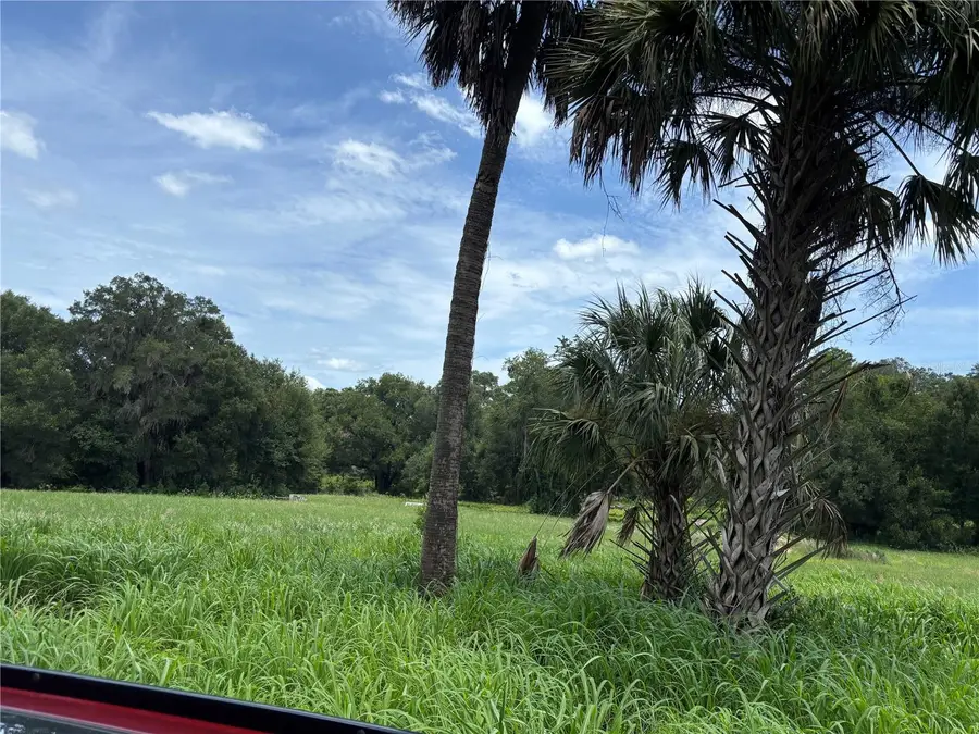 NE 23, Citra, FL 32113 - #2