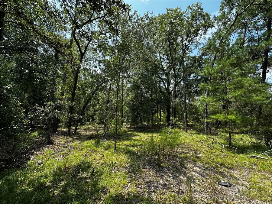 6270 NE 139th Avenue, Williston, FL 32696 - #3