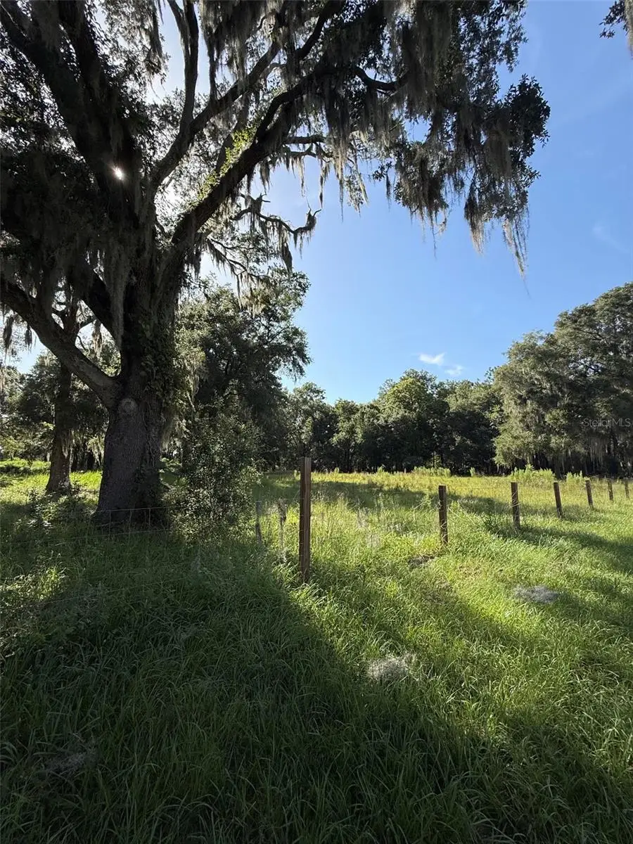 13726 SE 8 Court, Ocala, FL 34480 - #2