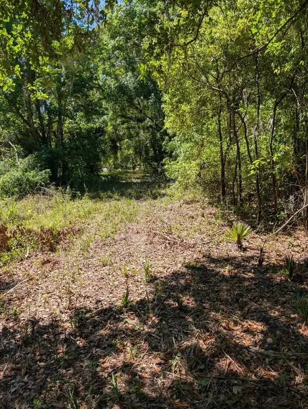 0 NW 202nd Place, MC INTOSH, FL 32664