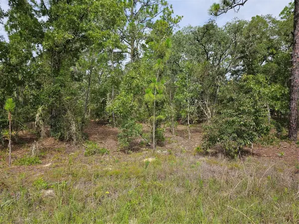 00 SW 122 Avenue, DUNNELLON, FL 34432