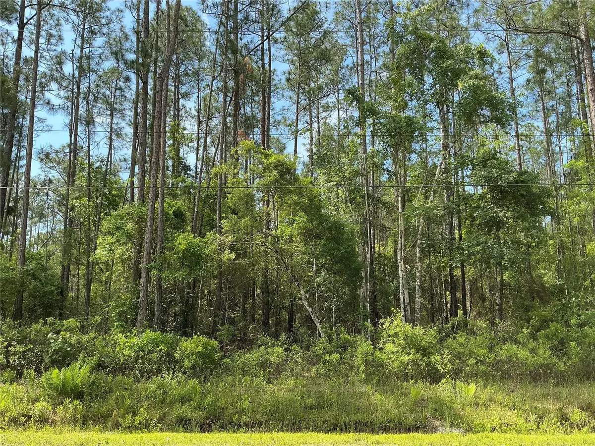 4425 Joyce Street, Hastings, FL 32145 - #1