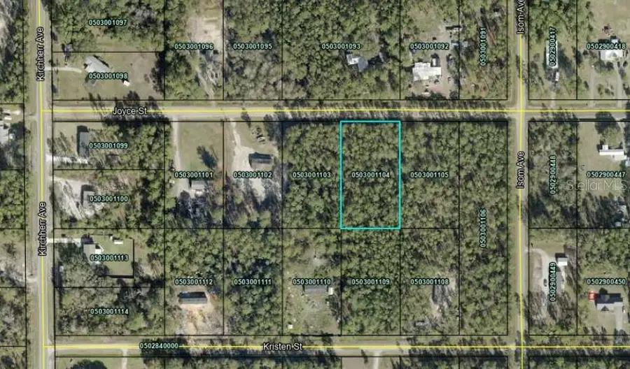 4425 Joyce Street, Hastings, FL 32145 - #2