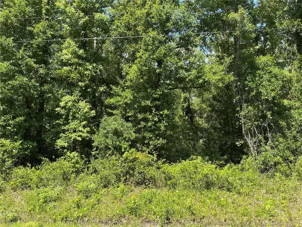 10135 Mcmahon Avenue, HASTINGS, FL 32145