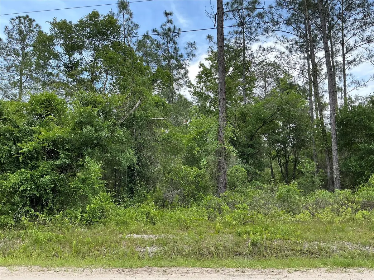 10730 Beckenger Avenue, Hastings, FL 32145 - #1